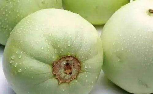 大荔吃瓜最新事件爆料是真的吗,真相揭秘还是网络谣言?  第2张 大荔吃瓜最新事件爆料是真的吗,真相揭秘还是网络谣言?  第2张