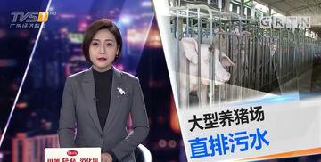 今日一线会爆料,揭秘娱乐圈惊人内幕  第1张 今日一线会爆料,揭秘娱乐圈惊人内幕  第1张